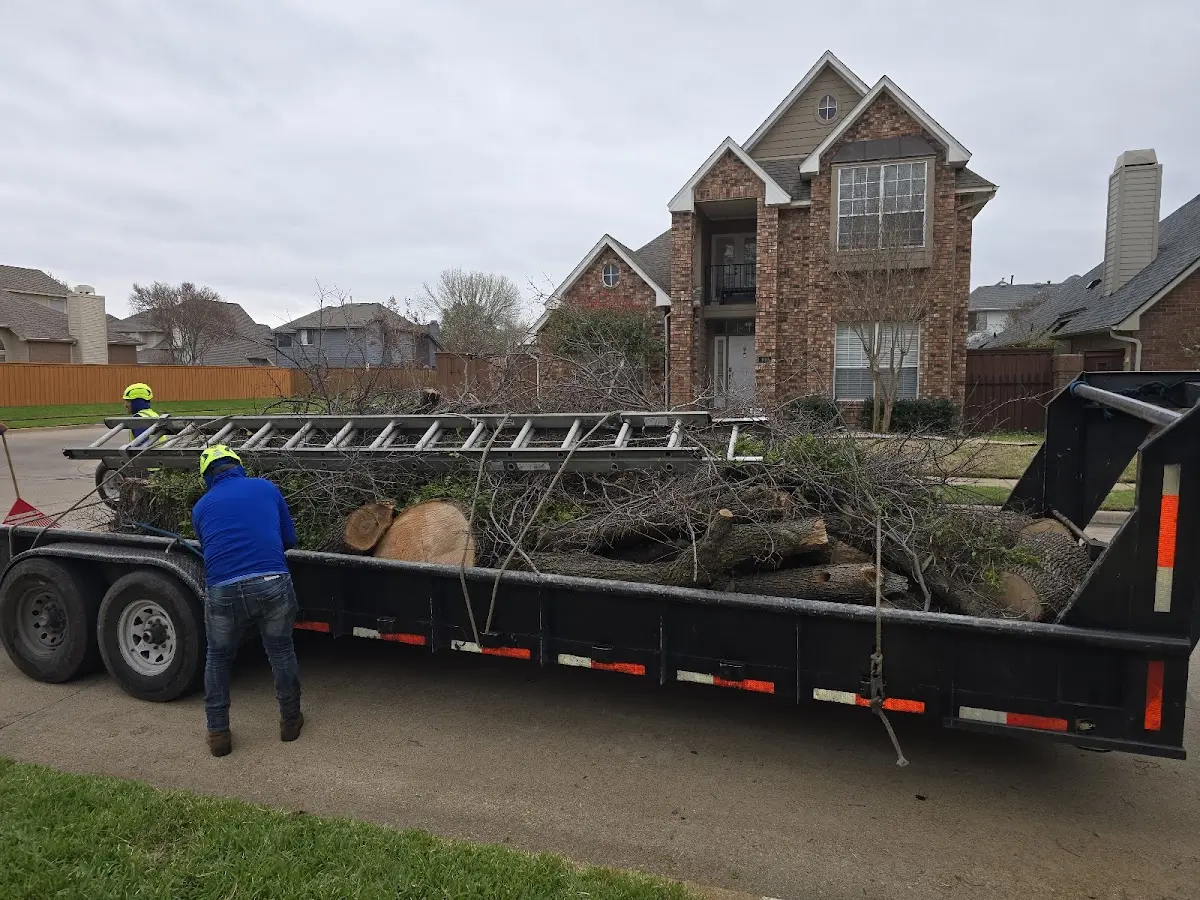 Expert Crown Reduction with proper safety equipment in Saint Simons Island